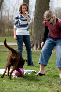 girls_with_lab_puppy