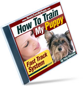 TrainPuppy_Jewel_3