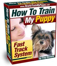 TrainPuppy_eBox_1