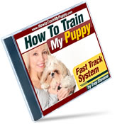 TrainMyPuppy_Shih-Tzu_Jewel_3