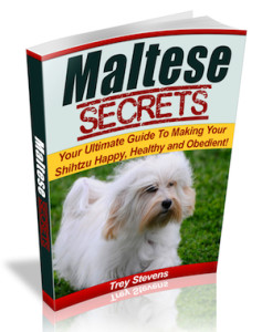 malt_copy_300